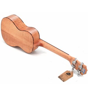 23" Ukulele Concerto