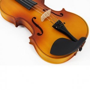 violín principiante popular