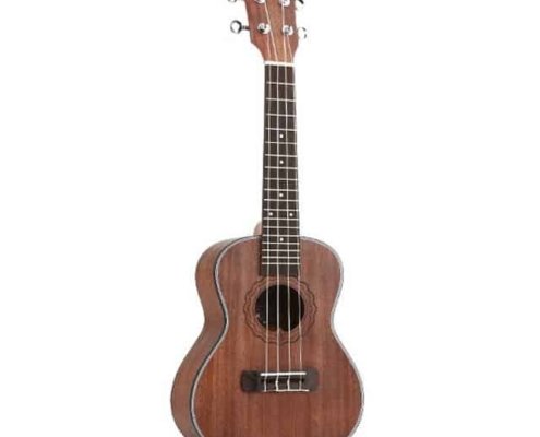 beginner ukulele