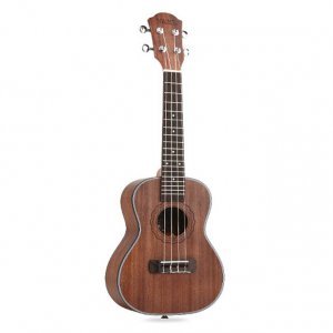 Beginner Ukulele