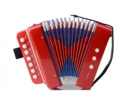 kid playing accordion