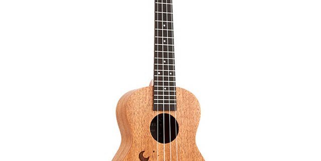 Ukelele barato de china personalizado