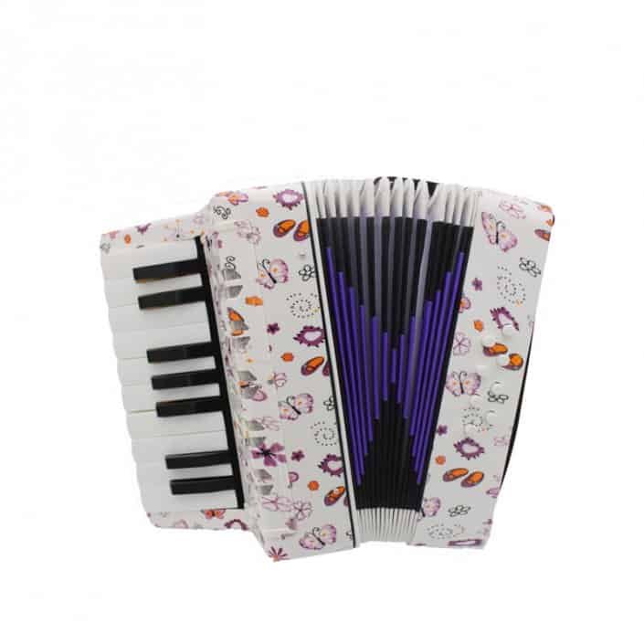best piano accordion for beginners