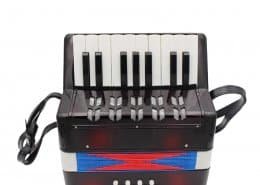 sale accordion