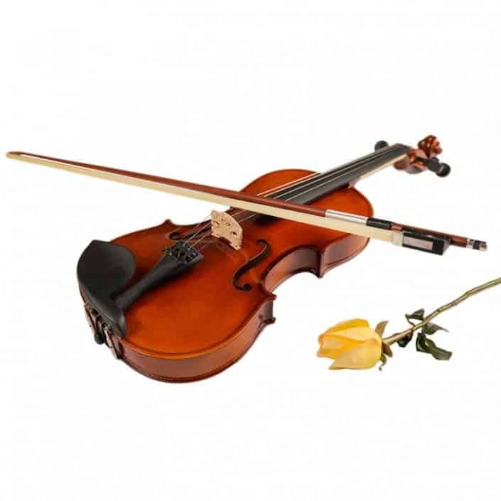 Beginner Violin Professional Beginner Low Price 4/4 Violin With Accessories