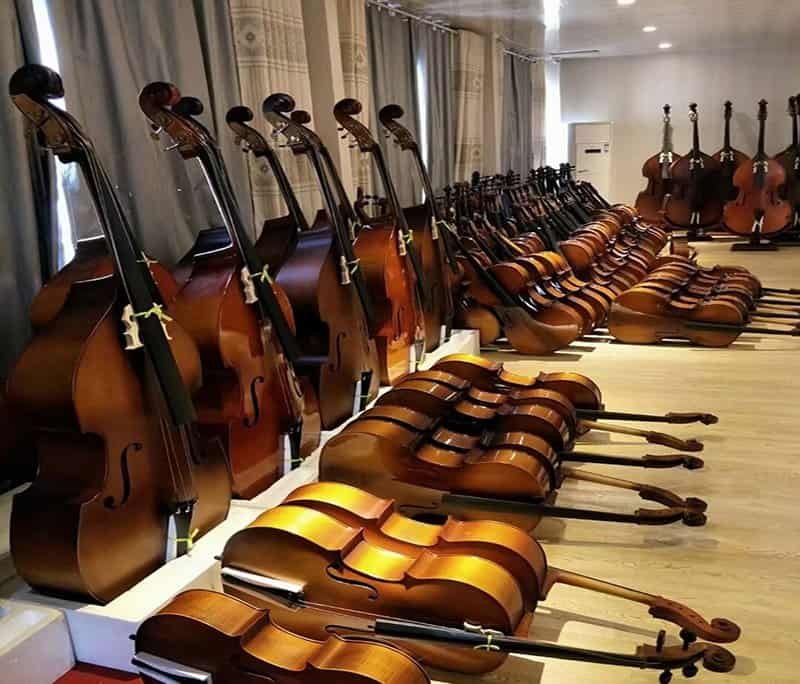 Violín para principiantes o estudiantes de Ariose Music