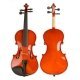 Violín para principiantes AVL-01