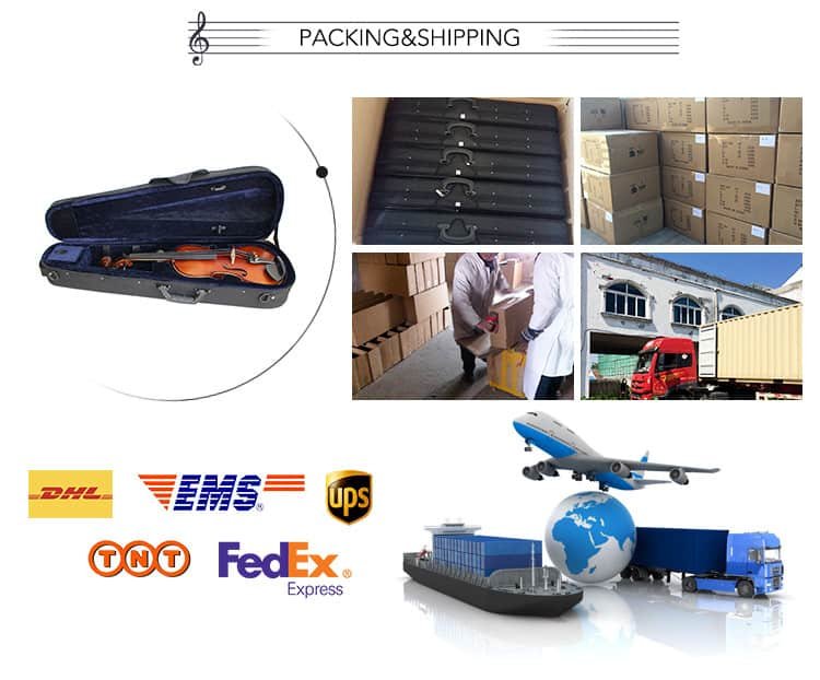 Violin Packing