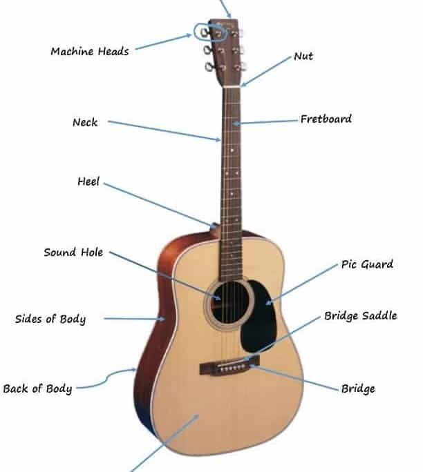 Quelles sont les parties d'une guitare