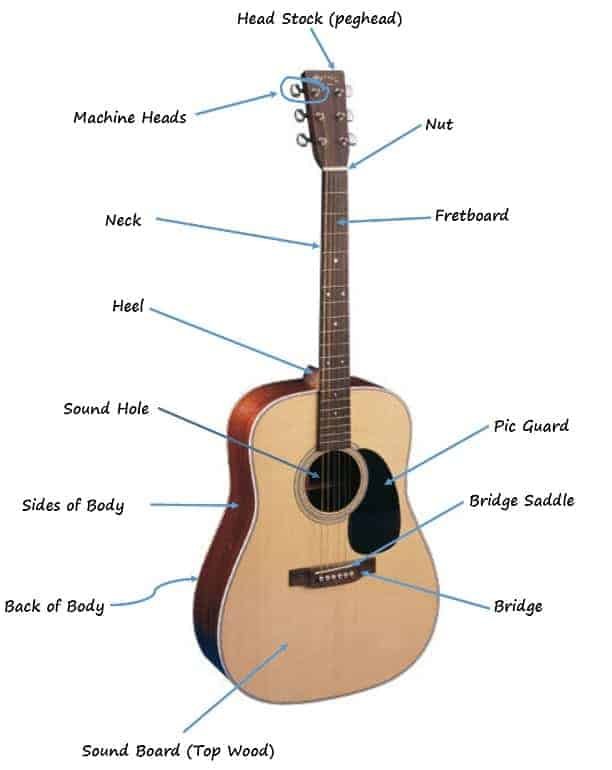 quelles sont les parties d'une guitare