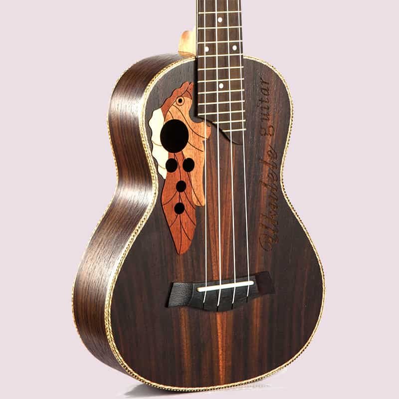 Designer ukulele