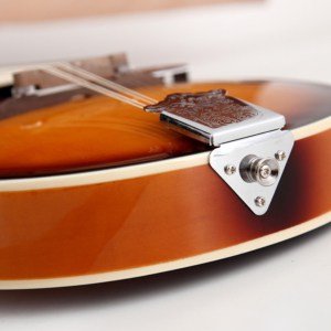 mandoline chinoise