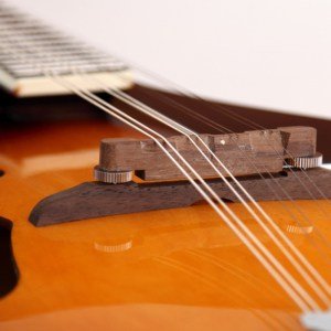 instruments à cordes mandoline