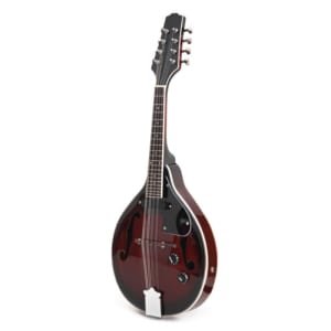 mandolin musical instrument