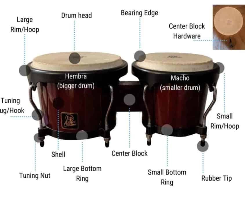 Basic parts of bongo drums