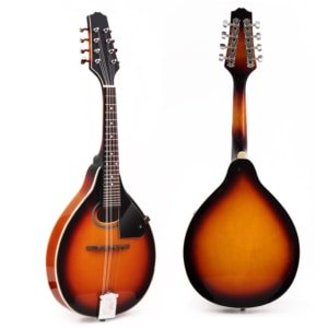 Mandoline acoustique