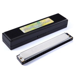 Harmonica trémolo professionnel 24 trous