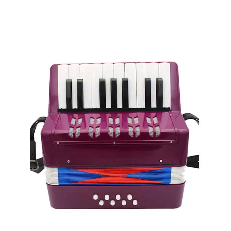 Buy Toy Accordion by Hohner, Music Gift, Music Toy