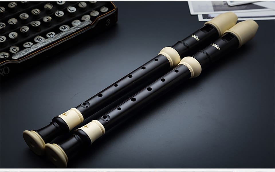 Beginner recorder instrument