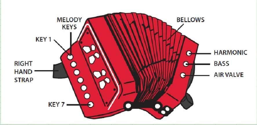 parties détaillées de l'accordéon pour enfants