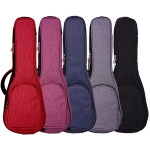 ukulele case