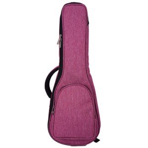 ukulele case concert