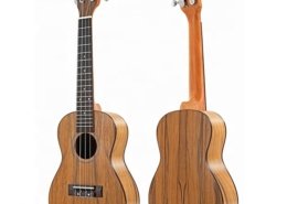 expensive ukulele