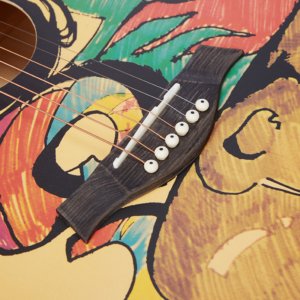 Custom Africa Acoustic Guitar