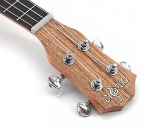 expensive Tenor ukulele