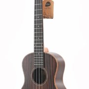 fábrica de ukulele