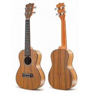 acoustic guitars