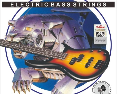 5 string bass guitar strings