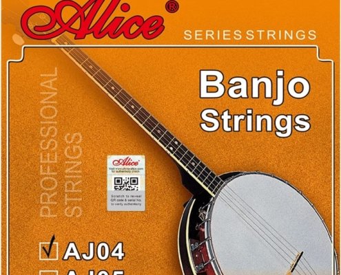 cuerdas de banjo