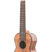 bass beginner ukulele