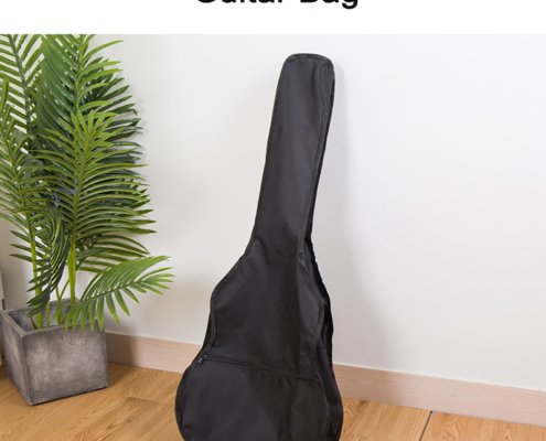 bolsa de guitarra