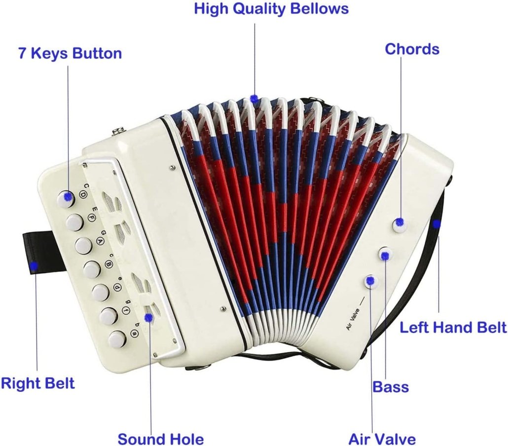 Control　Kid　Accordion　Keys　for　Air　Accordion,Button　Play　Easy　Environmentally-friendly　to　Lightweight　Instrument　Accordion　Ch　価格比較　10　Valve　include　Early