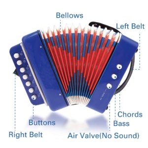 blue kids accordion