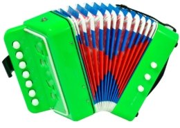 Beginner Accordion