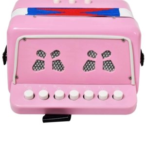 pink small accordion