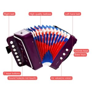 bouton accordéon vente