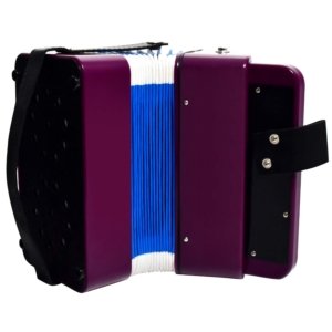 purple kids accordion