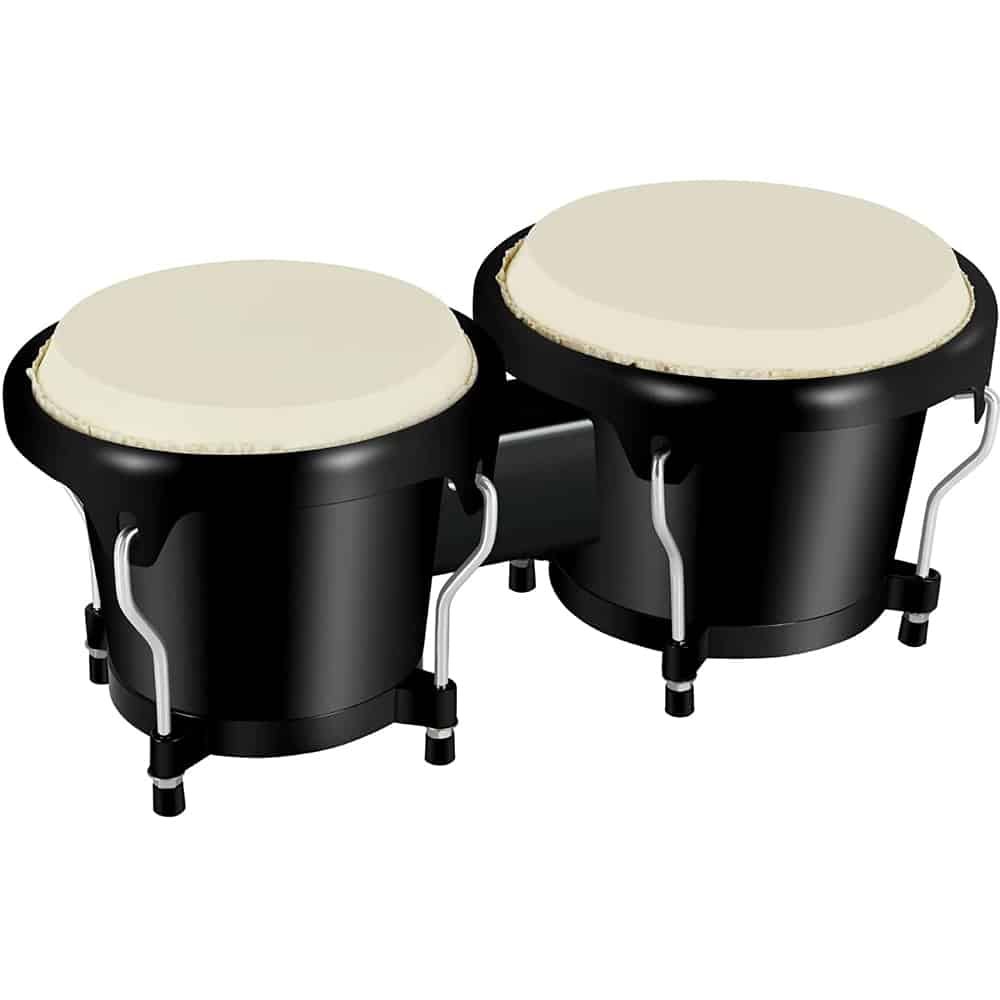 Best Bongo Drums For Beginners