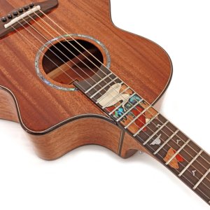 40 acoustic guitar