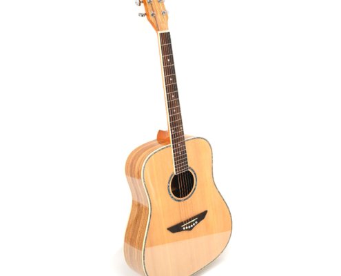 Zebrawood Acoustic Guitar