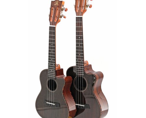 AUK-23 Rosewood Ukulele