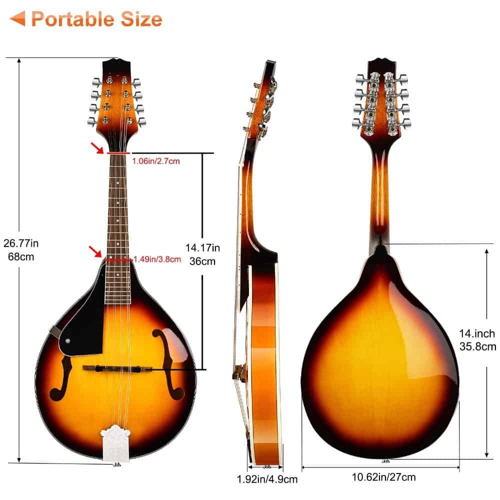 taille de la mandoline