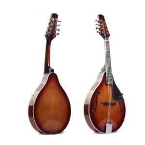 mandolin instrument