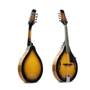 Sunburst Mandolin Instrument