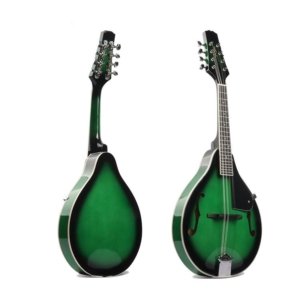 mandolin instrument for sale