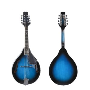 the mandolin instrument